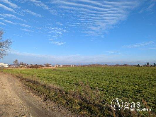 Blick vom Weg auf die Fläche