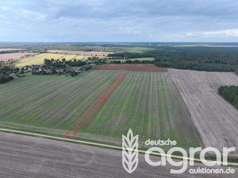 Bronkow Bauernhöfe, Landwirtschaft, Bronkow Forstwirtschaft