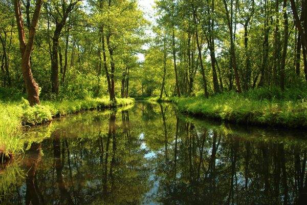 Spreewald vor der Tür