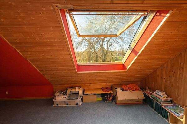 Aussicht in den Garten