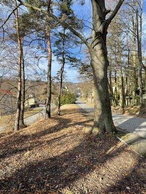 zusätzliche Grünfläche