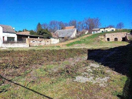 IMG_20250318_104439-