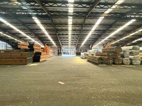 Hamburg Halle, Hamburg Hallenfläche