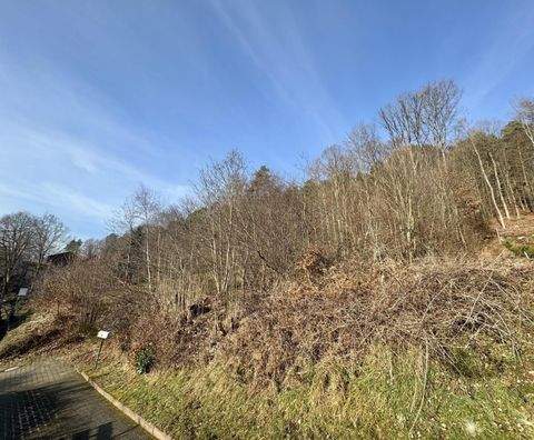 Kaiserslautern Grundstücke, Kaiserslautern Grundstück kaufen