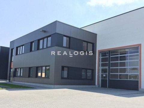 Tuttlingen Halle, Tuttlingen Hallenfläche