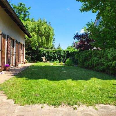 Natur direkt vor der Tür 