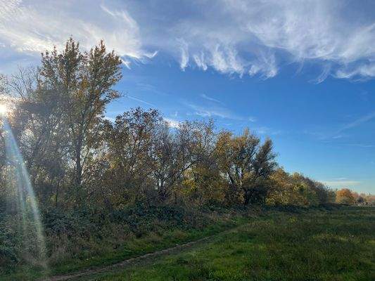 Hier geht es nach Mainz!