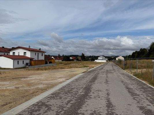 processed-D3E8B26C-F683-4B6C-8830-98DE0495DAB3