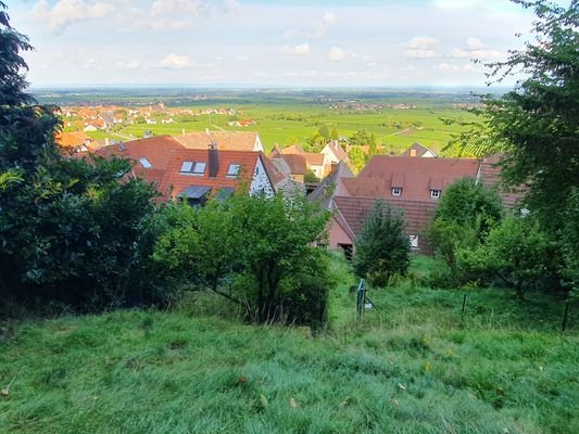 Blick vom Garten