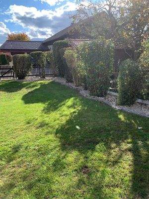 Sträucher eingefasst mit Kies-Beete