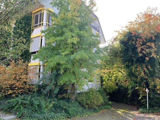 Höhe des Nachbargebäude