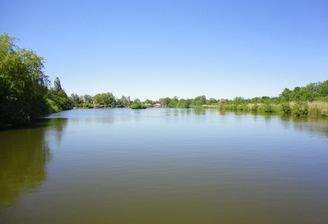 Erlenteich