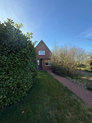 IMG_8461