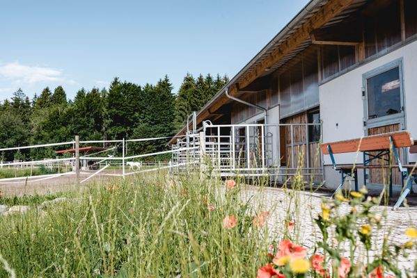 Aktivstall & Integrationsboxen Außen