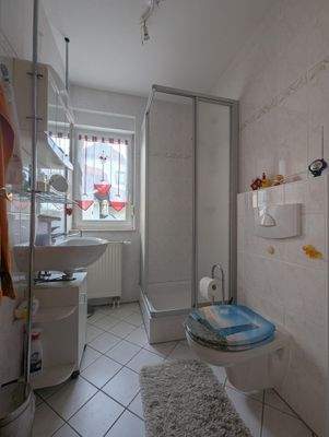 Gäste-WC mit Dusche/WC im EG