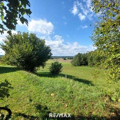 Blick in den Garten von der Laube