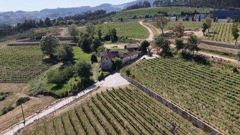 Cernadelo Häuser, Cernadelo Haus kaufen