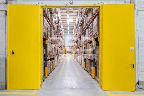 Radevormwald Halle, Radevormwald Hallenfläche