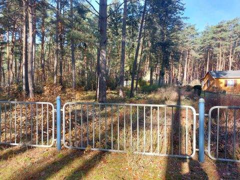 Borkheide Grundstücke, Borkheide Grundstück kaufen