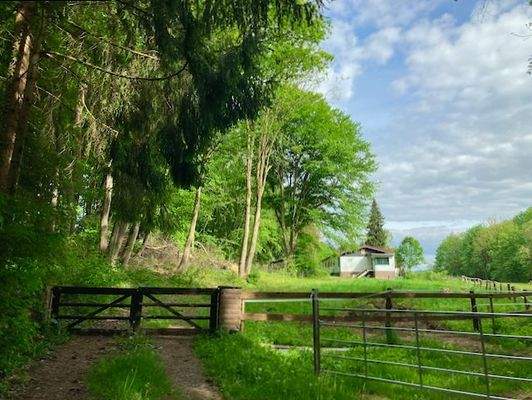 Wohnhaus Westseite 6.jpeg