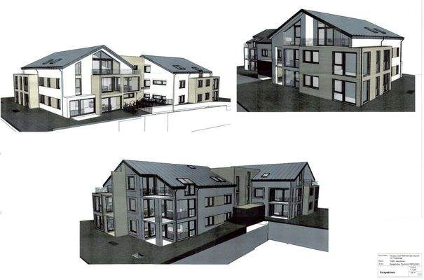 Neudenau Perspektive