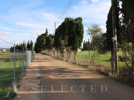 New brand Villa in construction between Inca and Llubi_11