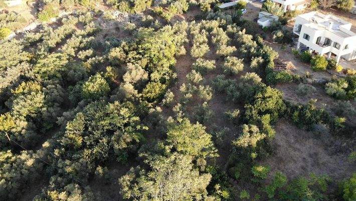 Kreta, Neo Chorio: Charmantes Baugrundstück mit Olivenbäumen und Panoramablick im Apokoronas zu verkaufen