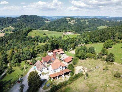 Pabneukirchen Bauernhöfe, Landwirtschaft, Pabneukirchen Forstwirtschaft