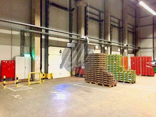 INFOS UNTER: 06171-586000