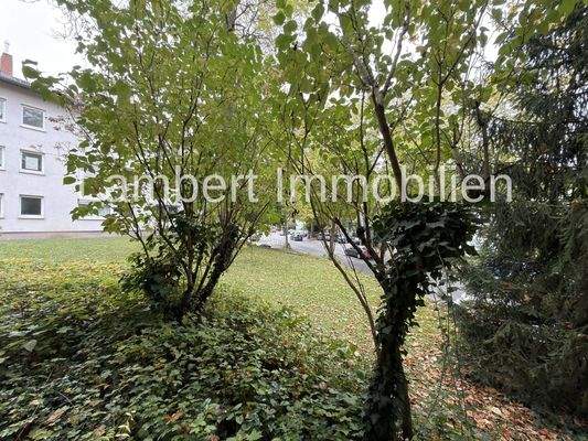 Blick in den Gartenbereich