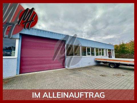 Neu-Isenburg Halle, Neu-Isenburg Hallenfläche