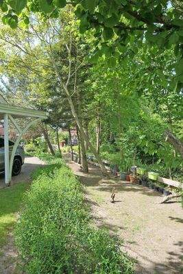 Grundstücksgrenze zum Naturteich