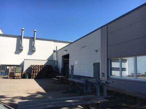 Bocholt Halle, Bocholt Hallenfläche