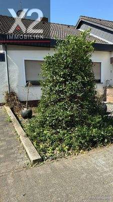 PHOTO-2024-07-31-11-49-31 (3)