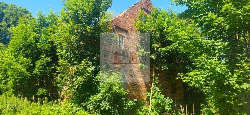 WhatsApp Image 2025-07-02 at 13.09.12