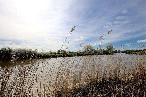 Fluss angrenzend zum Grundstück