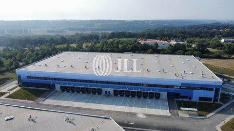 Grimma Halle, Grimma Hallenfläche