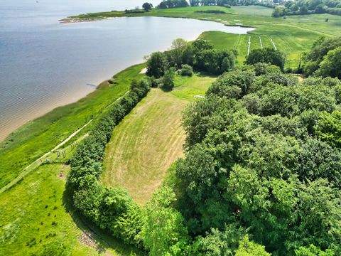 Ulsnis Bauernhöfe, Landwirtschaft, Ulsnis Forstwirtschaft