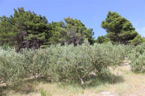 Wohnen inmitten Ihrer landwirtschaftlichen Arbeit