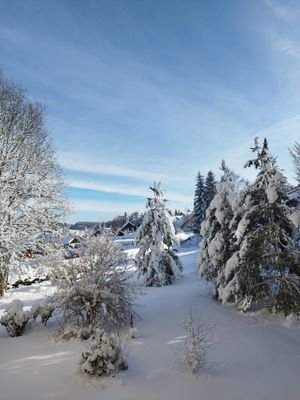 Aussicht Balkon Winter