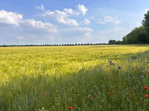 Erftstadt Bauernhöfe, Landwirtschaft, Erftstadt Forstwirtschaft