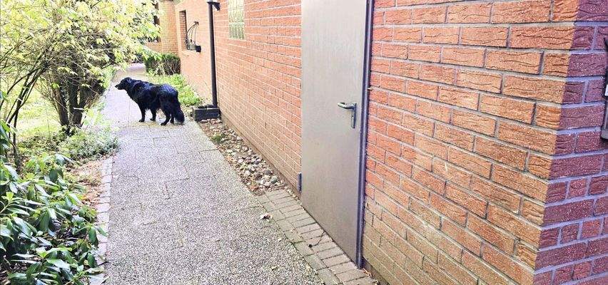 Mietobjekt 1. Garage+Haus