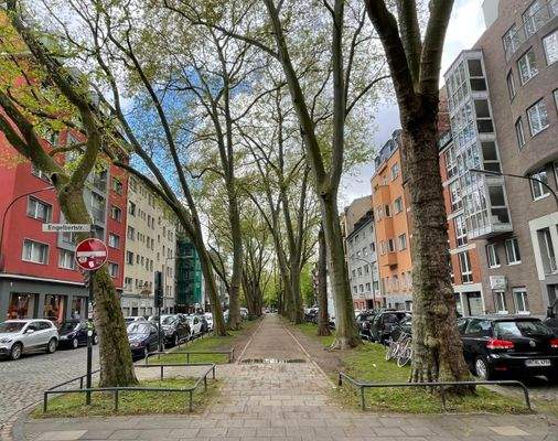 Allee zum Rathenauplatz