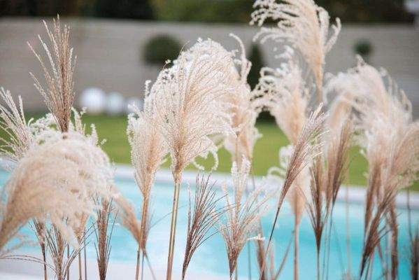 Hier könnten Sie zuhause sein