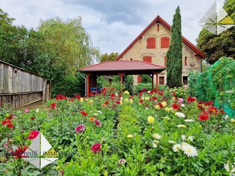 Gartz (Oder) Häuser, Gartz (Oder) Haus kaufen