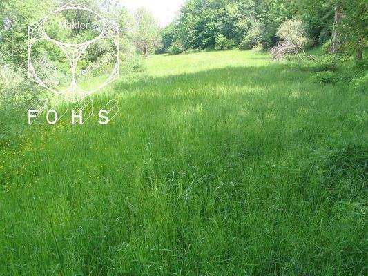 Unterböhr.Flur 1500-1=4.578 m² Foto 2 