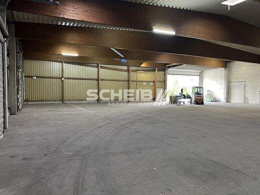 Höhe bis zu 6 Metern