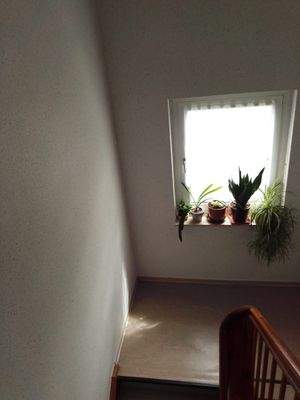 Bild 5 Stettiner Str. 7-9 Bad Wildungen.jpeg