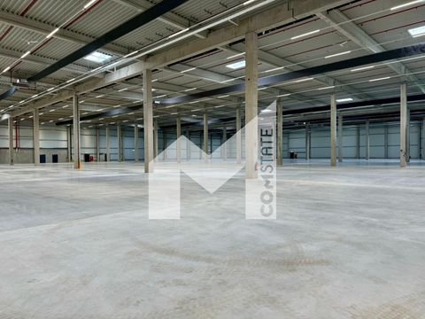 Duisburg Halle, Duisburg Hallenfläche