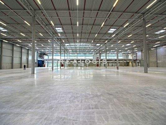 Innenansicht Hallenfläche